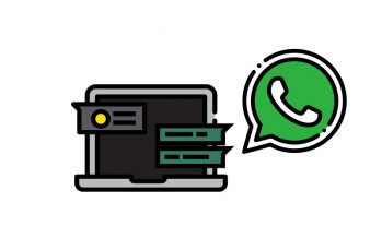 WHATSAPP LANÇA FIGURINHAS ANIMADAS E MODO ESCURO PARA A VERSÃO WEB