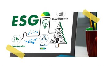 A IMPORTÂNCIA DE ESG PARA O PEQUENO EMPREENDEDOR.