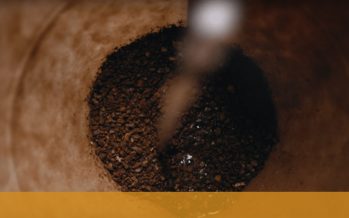 NESCAFÉ DESTACA INICIATIVAS PARA MANTER A PRODUÇÃO CAFEEIRA SUSTENTÁVEL.