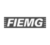 Fiemg